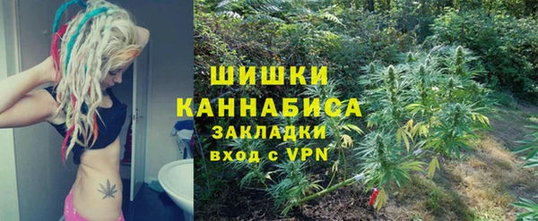 PSILOCYBIN Алзамай