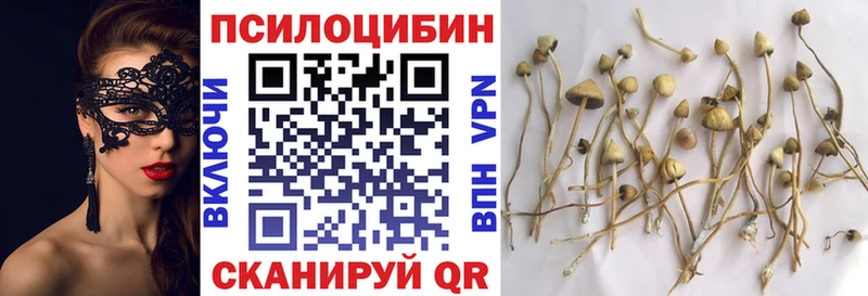 Псилоцибиновые грибы мицелий  Купить где  Берёзовский 